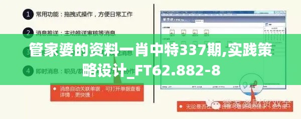 管家婆的资料一肖中特337期,实践策略设计_FT62.882-8