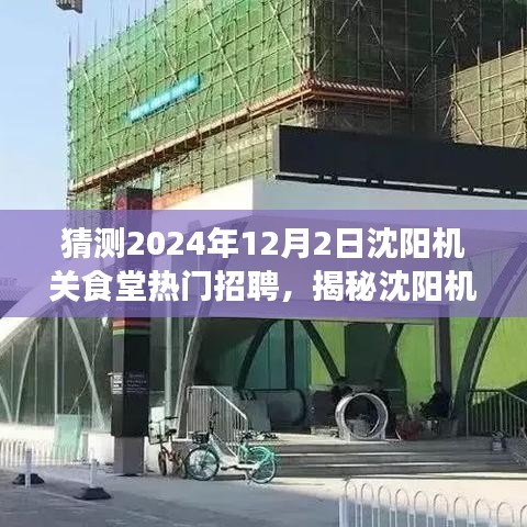 揭秘沈阳机关食堂未来招聘趋势，职场新星预测与人才招募前瞻（2024年12月）