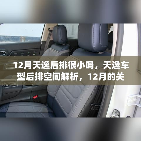 天逸车型后排空间解析，12月关注焦点，后排空间是否受限？