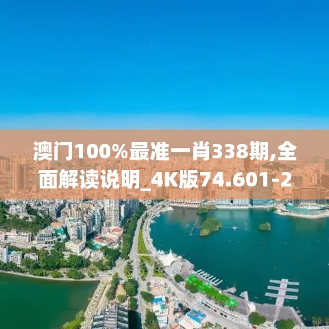 澳门100%最准一肖338期,全面解读说明_4K版74.601-2