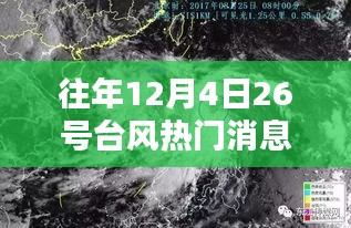 往年12月4日台风热点回顾，与台风共舞的日子，友情如星闪耀的温馨日常