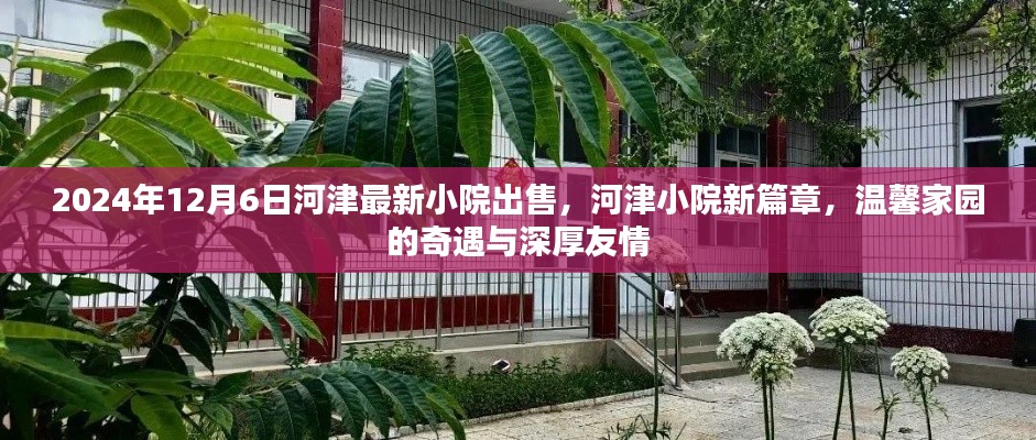 河津小院新篇章，温馨家园奇遇与深厚友情，河津最新小院出售信息（2024年12月6日）