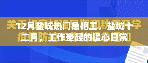 盐城十二月急招工，暖心日常，工作牵动人心