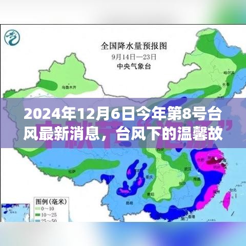 台风下的温馨故事，家人的守护与陪伴——2024年第8号台风最新消息