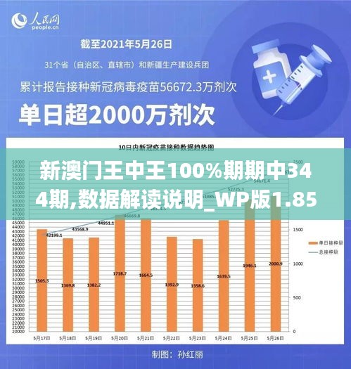 新澳门王中王100%期期中344期,数据解读说明_WP版1.859