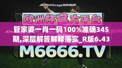 管家婆一肖一码100%准确345期,深层解答解释落实_R版6.432