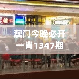 澳门今晚必开一肖1347期,实践案例解析说明_LT2.845