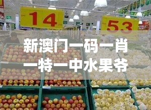 新澳门一码一肖一特一中水果爷爷：深入了解澳门的人文情怀