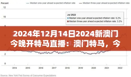 2024年12月14日2024新澳门今晚开特马直播：澳门特马，今夜的璀璨赛马盛宴