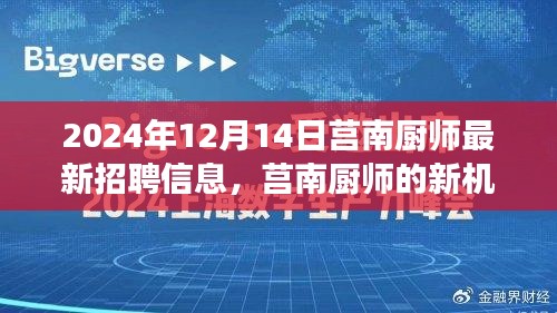 莒南厨师最新招聘信息揭秘，新机遇下的自信与成就感之源