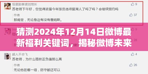 揭秘与预测，2024年12月14日微博福利关键词揭秘与深度评测揭秘微博未来福利关键词猜测与评测报告