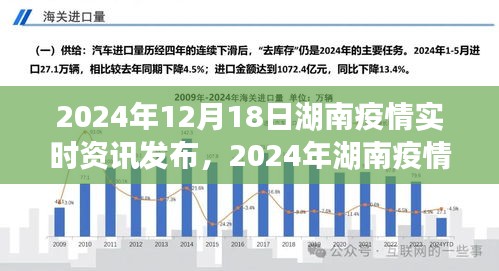 2024年湖南疫情全面解析与洞察，最新实时资讯发布