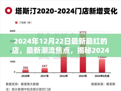 揭秘，2024年12月22日最红店铺潮流焦点与三大看点揭秘！