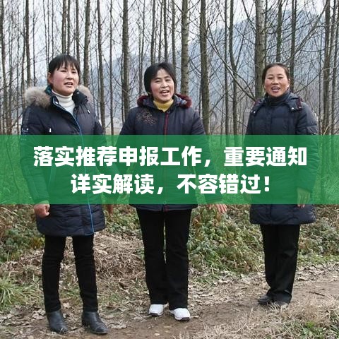 落实推荐申报工作，重要通知详实解读，不容错过！