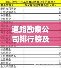 道路勘察公司排行榜及行业影响力解析