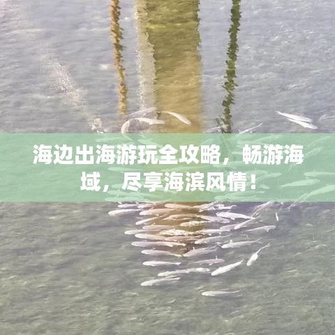 海边出海游玩全攻略，畅游海域，尽享海滨风情！