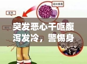 突发恶心干呕腹泻发冷，警惕身体这些症状的出现！