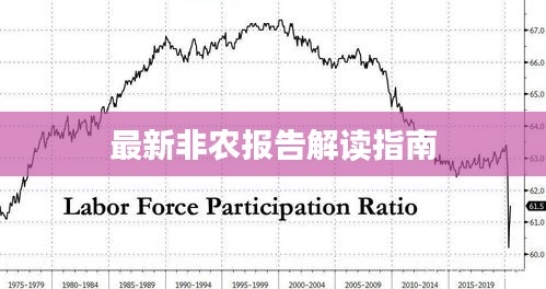 最新非农报告解读指南