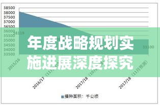 年度战略规划实施进展深度探究与分析