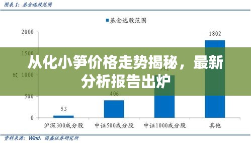 从化小笋价格走势揭秘，最新分析报告出炉