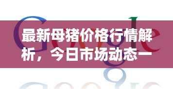 最新母猪价格行情解析，今日市场动态一网打尽！