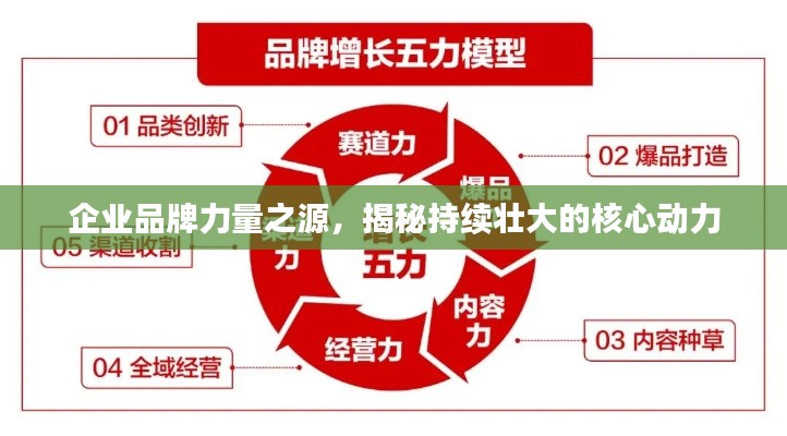 企业品牌力量之源，揭秘持续壮大的核心动力