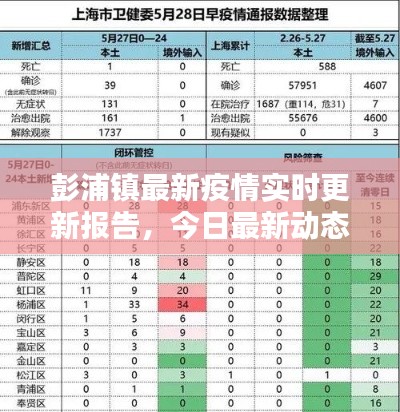 彭浦镇最新疫情实时更新报告，今日最新动态分析