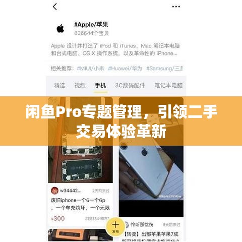 闲鱼Pro专题管理，引领二手交易体验革新