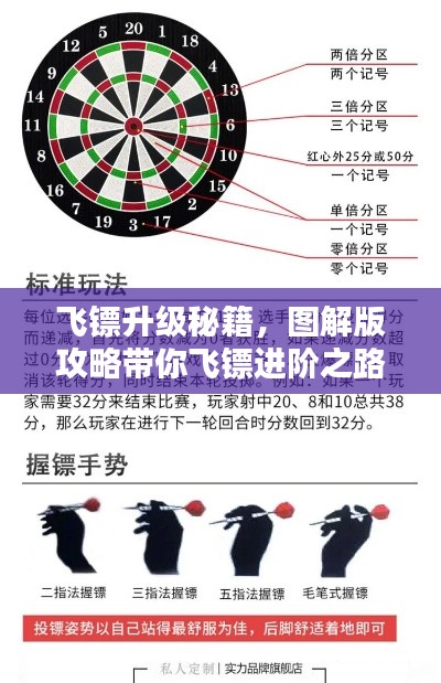 飞镖升级秘籍，图解版攻略带你飞镖进阶之路