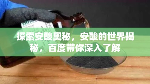 探索安酸奥秘，安酸的世界揭秘，百度带你深入了解