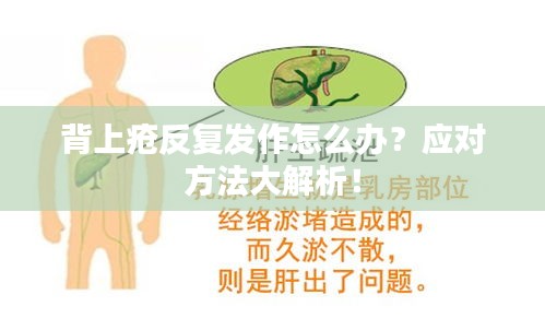 背上疮反复发作怎么办？应对方法大解析！