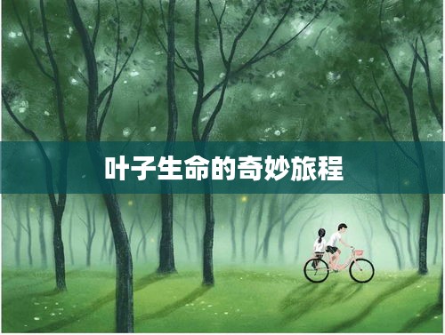 叶子生命的奇妙旅程