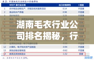 湖南毛衣行业公司排名揭秘，行业深度分析与市场洞察