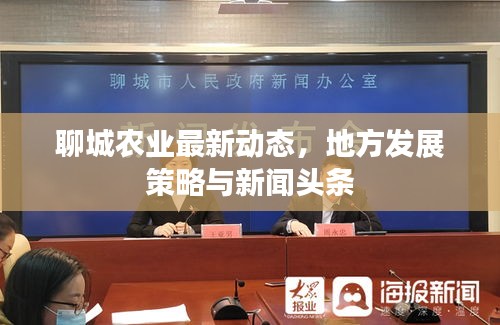 聊城农业最新动态，地方发展策略与新闻头条