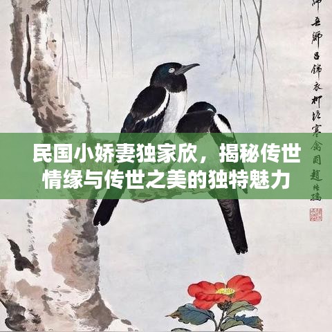 民国小娇妻独家欣，揭秘传世情缘与传世之美的独特魅力
