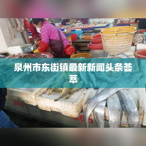泉州市东街镇最新新闻头条荟萃