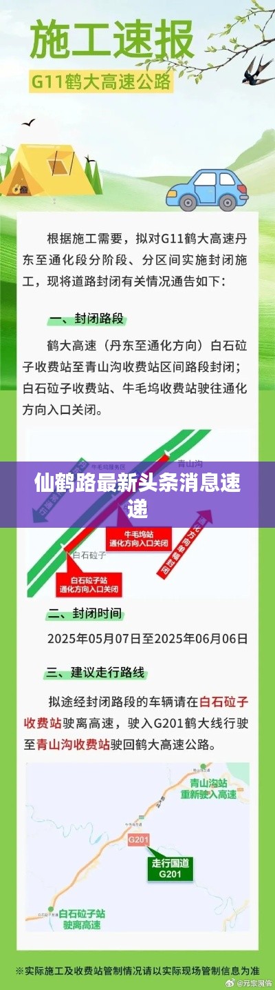 仙鹤路最新头条消息速递