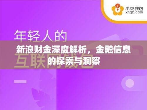 新浪财金深度解析，金融信息的探索与洞察