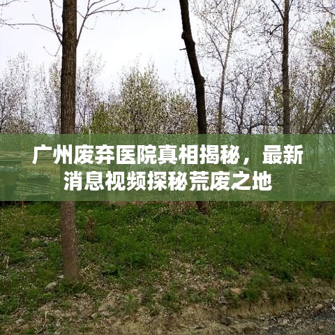 2025年5月15日