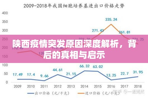 陕西疫情突发原因深度解析，背后的真相与启示