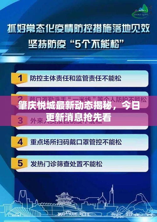 肇庆悦城最新动态揭秘，今日更新消息抢先看