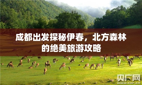成都出发探秘伊春，北方森林的绝美旅游攻略