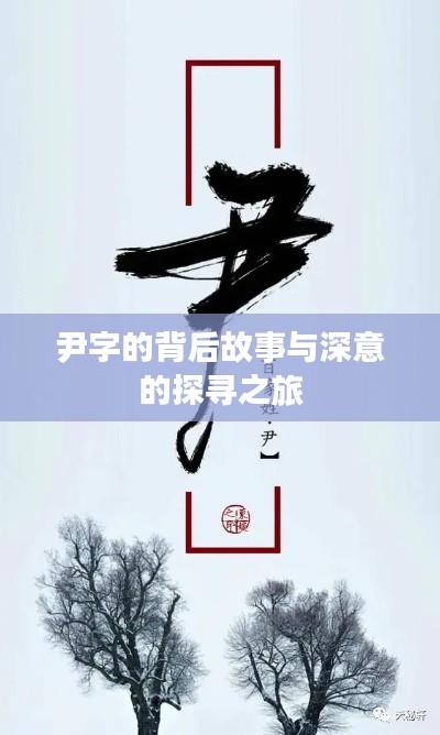 尹字的背后故事与深意的探寻之旅