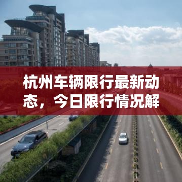 杭州车辆限行最新动态，今日限行情况解析
