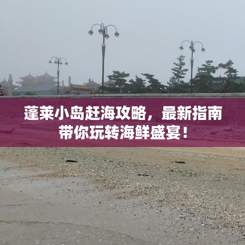 蓬莱小岛赶海攻略，最新指南带你玩转海鲜盛宴！