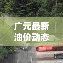 广元最新油价动态及分析，今日影响一览