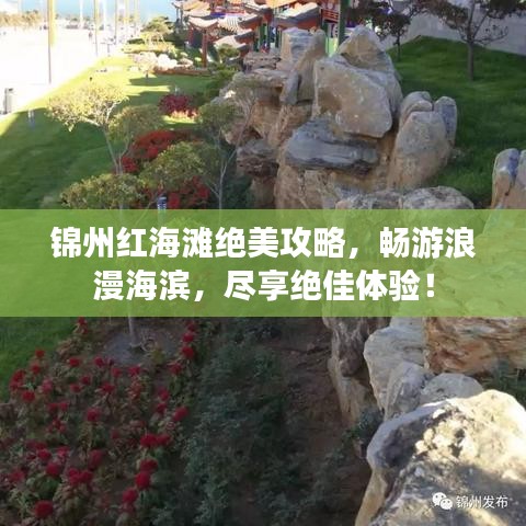 锦州红海滩绝美攻略，畅游浪漫海滨，尽享绝佳体验！