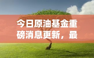 今日原油基金重磅消息更新，最新动态一网打尽