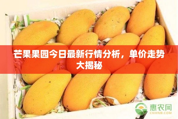 芒果果园今日最新行情分析，单价走势大揭秘