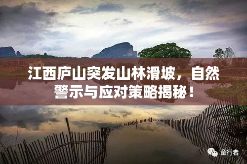 江西庐山突发山林滑坡，自然警示与应对策略揭秘！